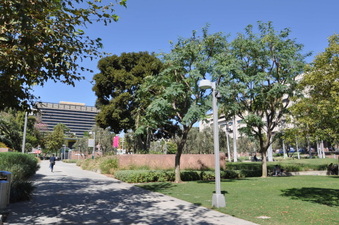 Enlarge photo 30