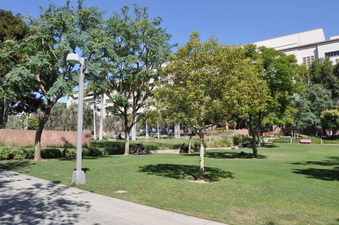 Enlarge photo 29