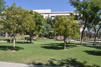 Enlarge photo 28