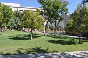 Enlarge photo 27