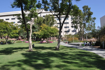 Enlarge photo 26