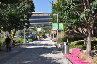Enlarge photo 20