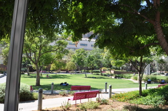 Enlarge photo 19