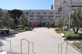 Enlarge photo 14