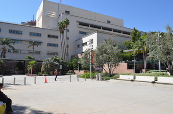 Enlarge photo 13