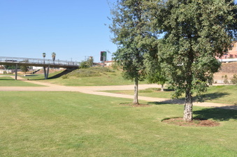 Enlarge photo 30