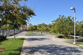 Enlarge photo 20