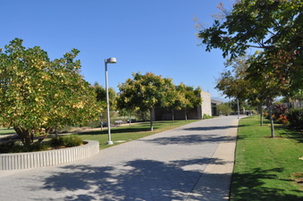 Enlarge photo 23