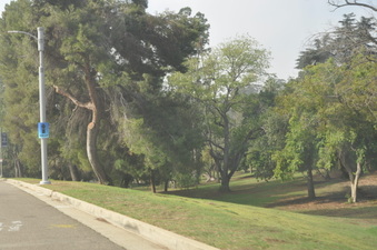 Enlarge photo 25