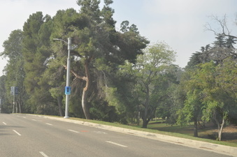 Enlarge photo 29