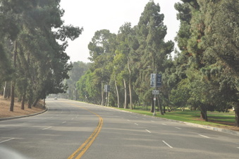 Enlarge photo 33