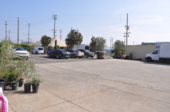 Enlarge photo 11