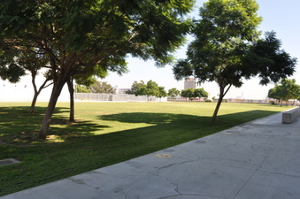 Enlarge photo 26