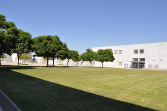 Enlarge photo 28
