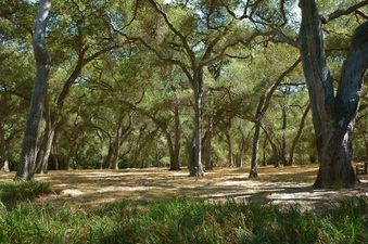 Enlarge photo 3
