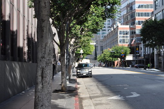 Enlarge photo 15