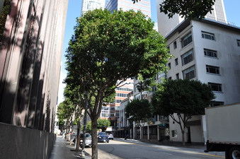 Enlarge photo 19