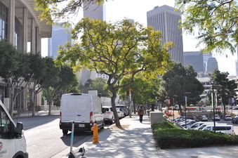 Enlarge photo 5