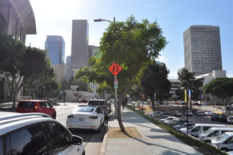 Enlarge photo 9