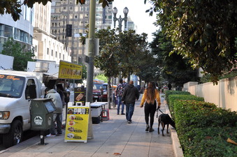 Enlarge photo 13