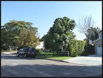 Enlarge photo 32