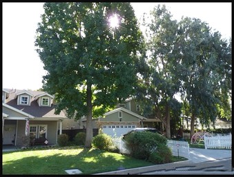 Enlarge photo 33