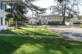 Enlarge photo 4