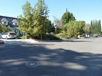 Enlarge photo 51