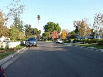 Enlarge photo 6