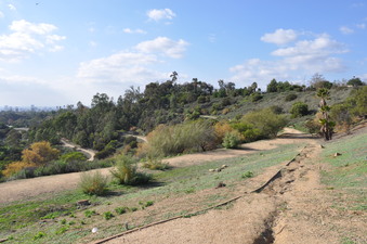 Enlarge photo 9