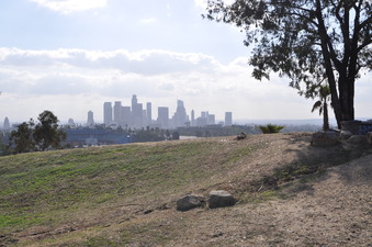Enlarge photo 11