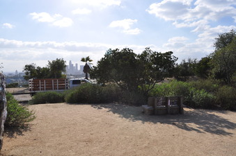 Enlarge photo 21
