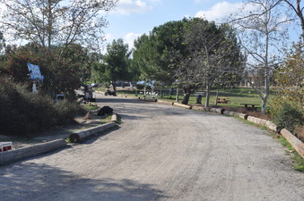 Enlarge photo 28
