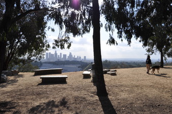 Enlarge photo 34