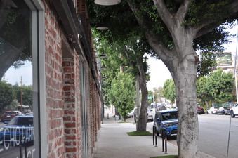 Enlarge photo 15
