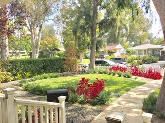 Enlarge photo 2