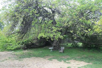 Enlarge photo 46
