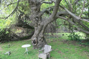 Enlarge photo 47