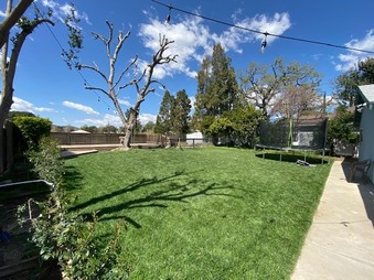 Enlarge photo 20