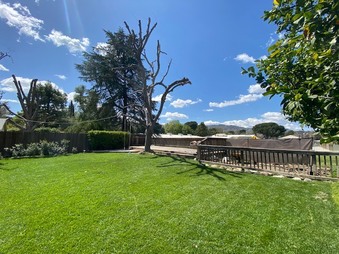 Enlarge photo 22