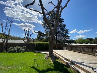Enlarge photo 25