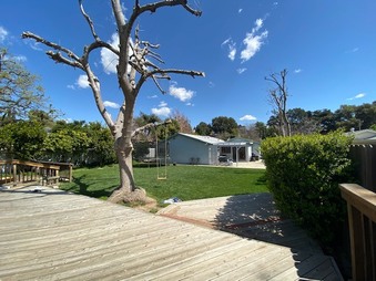Enlarge photo 28