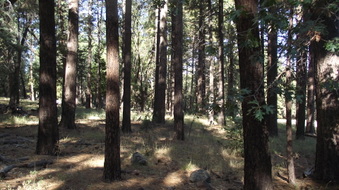 Enlarge photo 34