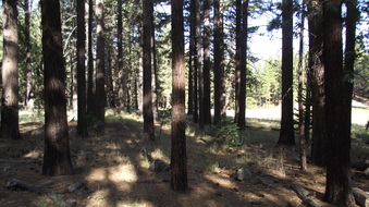 Enlarge photo 25