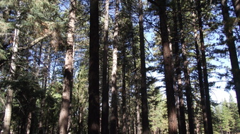 Enlarge photo 28