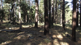 Enlarge photo 23