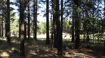 Enlarge photo 22