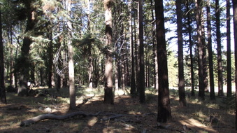 Enlarge photo 13