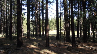 Enlarge photo 14