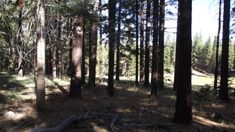 Enlarge photo 26